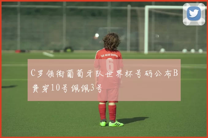 C罗领衔葡萄牙队世界杯号码公布B费穿10号佩佩3号