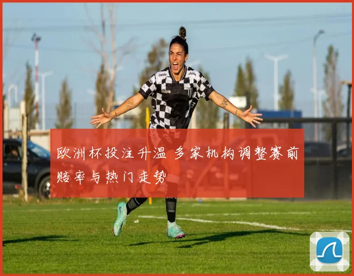 欧洲杯投注升温 多家机构调整赛前赔率与热门走势