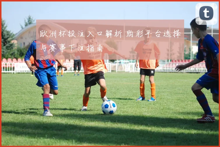 欧洲杯投注入口解析 购彩平台选择与赛事下注指南