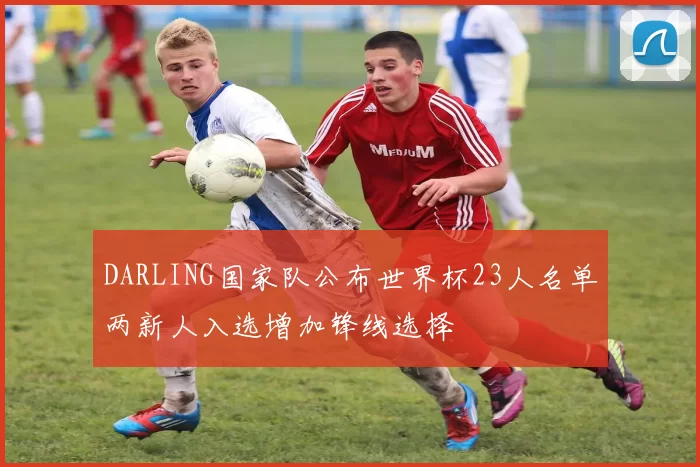 DARLING国家队公布世界杯23人名单两新人入选增加锋线选择