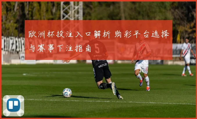 欧洲杯投注入口解析 购彩平台选择与赛事下注指南