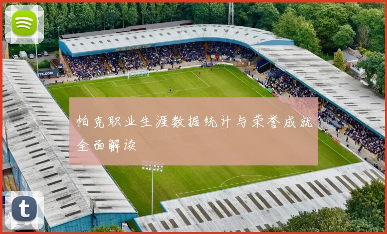 帕克职业生涯数据统计与荣誉成就全面解读